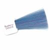 Natulique coloration Myrtille Blueberry DOUCE