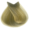 10 Blond platine Tahe Lumière Express coloration