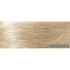 Naturigin Coloration 10.2 Blond cendré