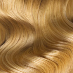 Holi - Coloration végétale Blond Miel